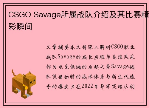 CSGO Savage所属战队介绍及其比赛精彩瞬间